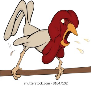 Singing cock
