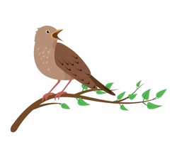Singing Nightingale Bird Sitting On Tree Brunch Isolated On White Background. Nightingales Icons Flat Or Cartoon Vector Illustration.