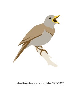 Singing nightingale on a twig. Vector flat illustration