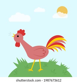 Singing rooster in the early morning. Funny colored cartoon character crowing cock on the grass. Vector illustration