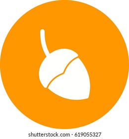 Single Acorn