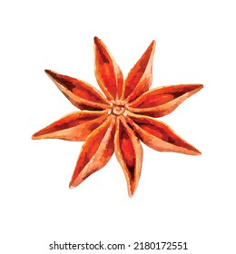 Single anise star isolated on white background, Star aniseed or Chinese star anise seed. Watercolor style hand draw painting. Vector illustration. Clipart