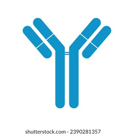 Single antibody immunoglobulin molecule. Schematic structure of an antibody. Scientific resources for teachers and students. Vector illustration isolated on white background.