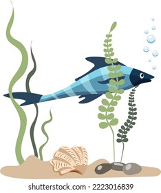 Single aquarium blue striped tropical fish with seaweed and stones, isolated on white background