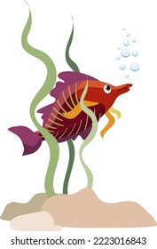 Single aquarium purple tropical fish with seaweed and stones, isolated on white background