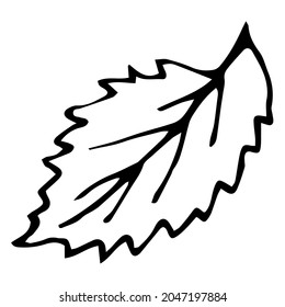 hoja única de otoño. Esbozo lineal en el estilo de doodle