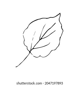 single autumn leaf . Linear sketch in doodle style