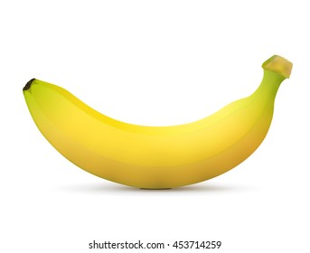 Single banana fruit close up. Horizontal view of banana isolated on white background. Vector illustration