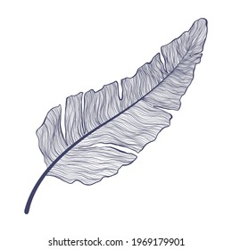 Single banana leaf illustration in linear style. Trendy minimalistic outline art of tropical palm leaf. Vector illustration of exotic plant isolated on white background.