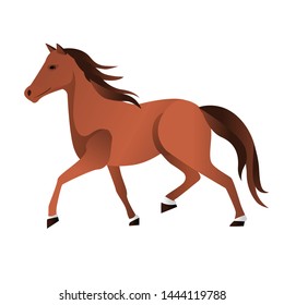 Single basic simple horse illustration in brown natural color. vector 