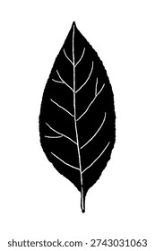 Single Bay Leaf Simple Icon