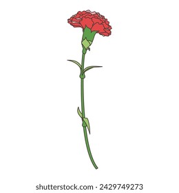 A single beautiful carnation, icon, vector