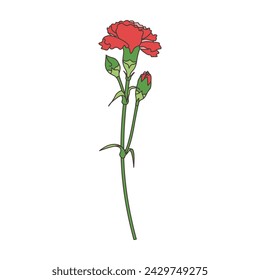 A single beautiful carnation, icon, vector