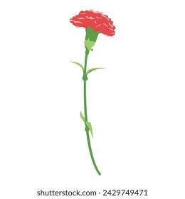 A single beautiful carnation, icon, vector