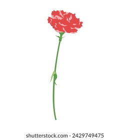Un solo hermoso clavel, icono, vector