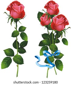 Una bella rosa roja aislada en un fondo blanco y ramo de rosas rojas. Ilustración vectorial.