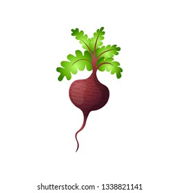 Single beetroot with haulm isolated on white background