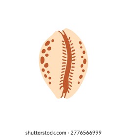 Single beige cowrie sea shell with brown spots isolated on white. Beautiful ocean wildlife element for underwater ecosystem, nautical decoration, and beach holiday