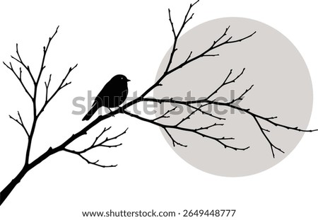 Single bird silhouette perched on tree branch – black minimalist vector illustration of perched bird – isolated clipart in elegant flat design, simple outline for nature and wildlife themes

