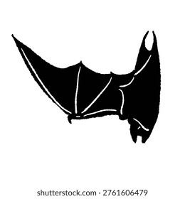 Single black bat gliding with wings partially closed in monochrome