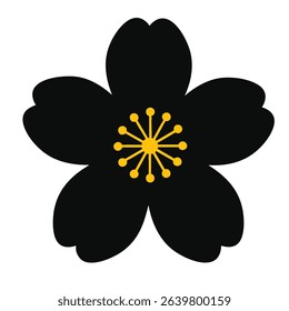 Single Black Cherry Blossom Flower Against a Clean White Background