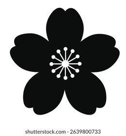 Single Black Cherry Blossom Flower Against a Clean White Background
