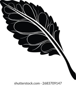Single black colour sunflower on white background