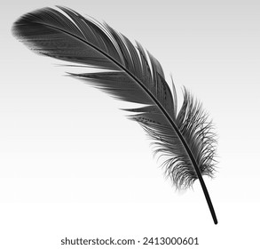 Single black feather realistic vector illustration on white background. Dark crow quill 3d design element. Soft bird plumage part image