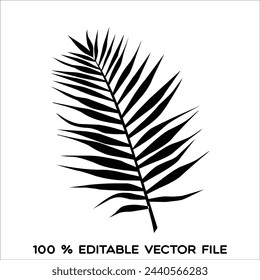 Una sola hoja negra de palmera aislada sobre fondo blanco. Ideal para la decoración del hogar de la lona de impresión.