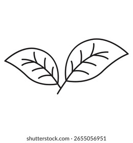 Single Black Leaf Silhouette – Eco Concept Icon