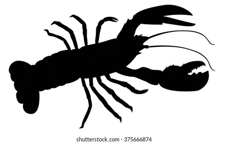 Single black lobster on white background. Seafood menu for meal or dinner. Healthy eating. Marine product. Design for restaurant menu, logo, promo poster, flyer or product packaging.Vector