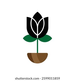 A single black rose flower 