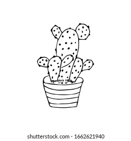 Single black and white sketch house plant in pot isolated on white background. Hand drawn doodle vector illustration for design, logo, greeting card