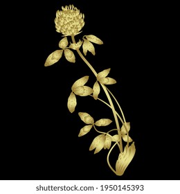 Single blooming branch  of red clover with. Golden glossy silhouette on black background. Beautiful floral wildflower art. Golden glossy silhouette on black background.
