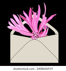 Single blooming flower of Loropetalum Chinense plant inside paper envelope. Floral greeting design. Pink blossom. Chinese fringe flower or strap flower. On black background.