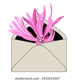 Single blooming flower of Loropetalum Chinense plant inside paper envelope. Floral greeting design. Pink blossom. Chinese fringe flower or strap flower. Isolated vector illustration.