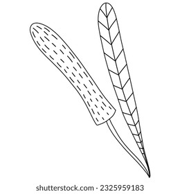 Single blooming flower. Spring wildflower. Hand drawn doodle  Black silhouette on white background.