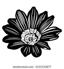 Single Blooming Head Of Gazania Flower Or African Daisy. Black And White Silhouette.