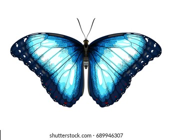 Single Blue Butterfly morpho on a white background.