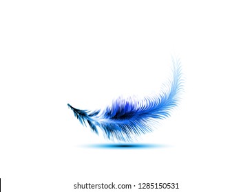 Single blue feather vector isolated on white background. Levitation plume, lightness concept icon 