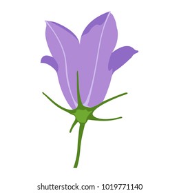 Single blue "Flax-leaved Bellflower" (or Campanula Carnica) cartoon isolated on a white background - Eps10 vector graphics and illustration