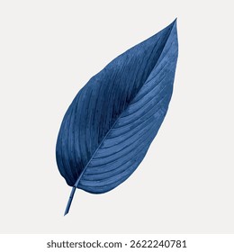 A single blue leaf isolated on a light background. The leaf is detailed, showcasing its texture. Blue leaf stands out with its unique color and natural pattern. Vintage botanical illustration vector.