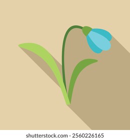 Single blue snowdrop flower is growing on a light brown background with a long shadow