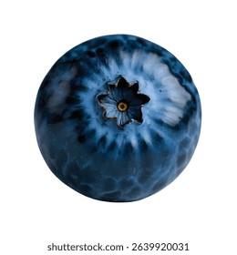 Single blueberry vector illustration fresh juicy and detailed design