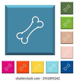 Iconos blancos de hueso único en botones cuadrados de borde en varios colores de moda