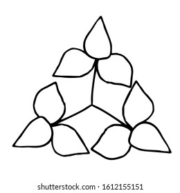 Single Botanical elements for the preparation of the compositions. Twigs and leaves make elements for invitation frames, greeting cards, posters, blogs. Hand-drawn illustration. Line art. Sketch.