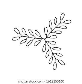Single Botanical elements for the preparation of the compositions. Twigs and leaves make elements for invitation frames, greeting cards, posters, blogs. Hand-drawn illustration. Line art. Sketch.