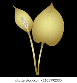 Single Branch Of Bog Arum Plant With Lead And Flower. (Calla Palustris). Swamp Lily. Golden Glossy Silhouette With White Pearl Beads On Black Background. Jewelry Design.