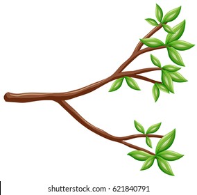 Single Branch With Green Leaves Illustration