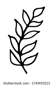 Single branch with leaves in ink Isolated on white background. Hand drawn vector decorative element in doodle style for wedding invitation and decoration, postcard, flyer, banner or website